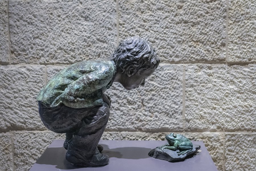 12 - IL BEL RANOCCHIO.jpg
